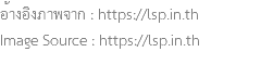 อ้างอิงภาพจาก : https://lsp.in.th Image Source : https://lsp.in.th